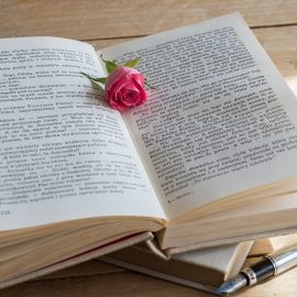 Tener un estudio en el jardín como biblioteca o rincón de lectura