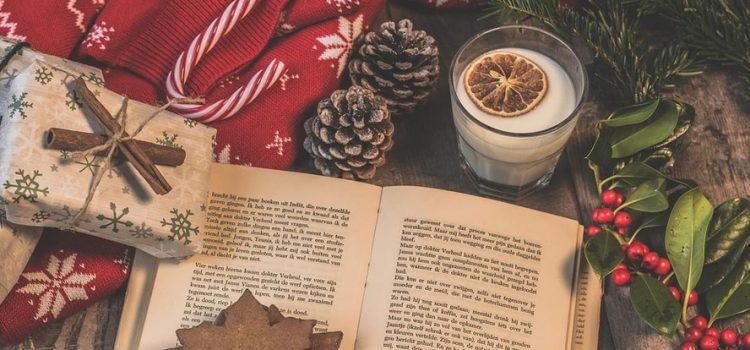 Decoración navideña solo para amantes de los libros