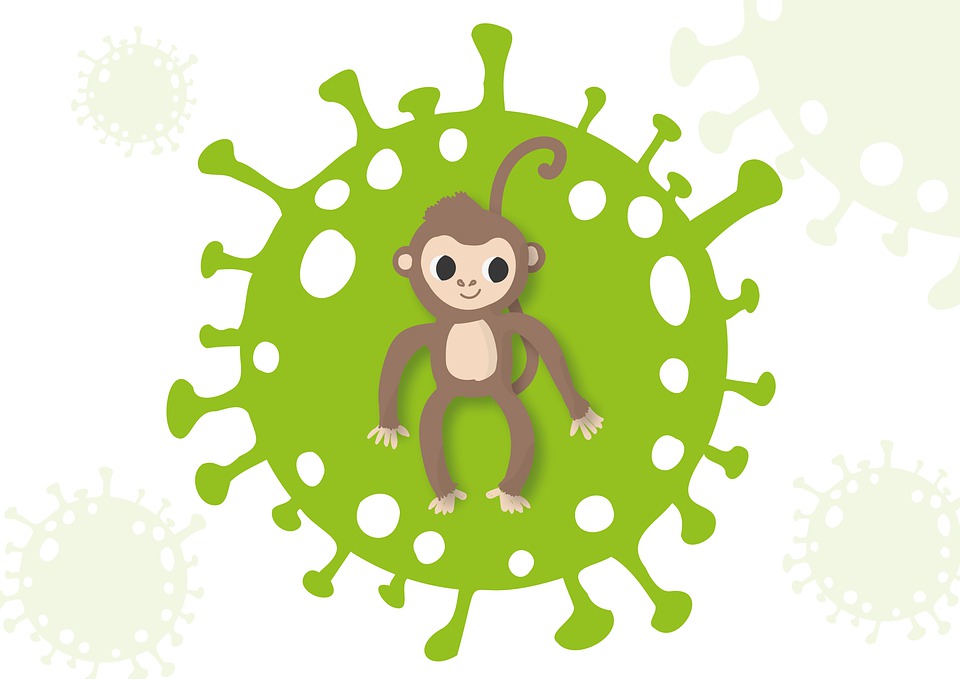 La viruela del mono ¿otra pandemia? por Fabiola Maldonado