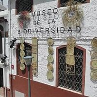 Conoce el Museo de la Biodiversidad en Ibi (Alicante)
