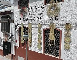 Conoce el Museo de la Biodiversidad en Ibi (Alicante)