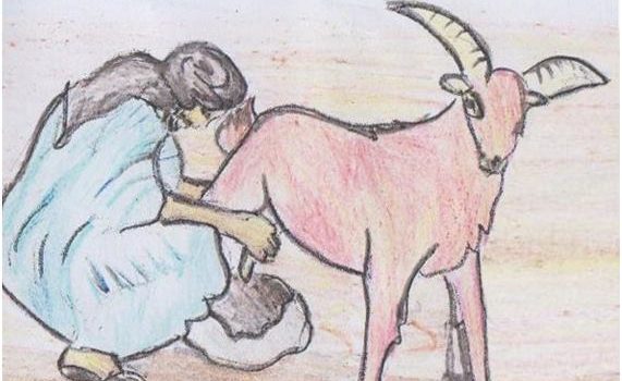 Himra o la cabra rojiza de Mohamed Ali Làmman