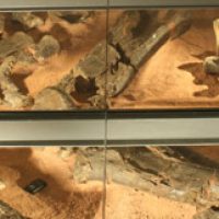 Conoce el Museo Paleontológico de Alpuente en Valencia