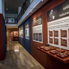 Conoce el Museo Histórico Municipal de Carcabuey en Córdoba